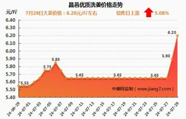 7月8日昌邑生姜價格表-圖3