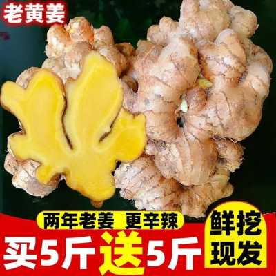 哺乳期可以炒菜放生姜嗎-圖3