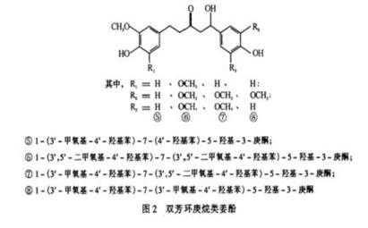 生姜中姜酚的含量有多少-圖2